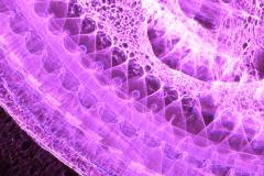 s-P6089234b