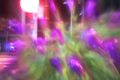 s-IMG_1974b