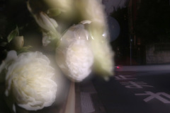 s-IMG_2011b