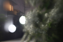 s-IMG_2038b