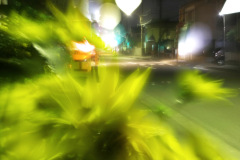 s-IMG_2089b