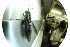 s-R1020011c2